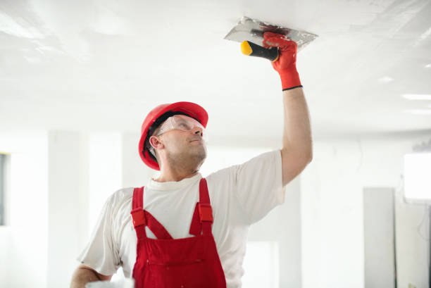 Best Exterior Painting  in Celina, TX