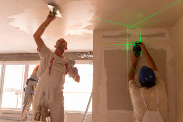 Best Drywall Sanding and Smoothing  in Celina, TX